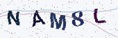 Kode captcha